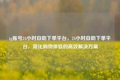 tg账号24小时自助下单平台，24小时自助下单平台，简化购物体验的高效解决方案