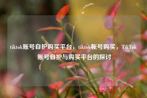 tiktok账号自护购买平台，tiktok帐号购买，TikTok 账号自护与购买平台的探讨