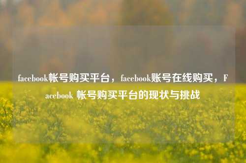 facebook帐号购买平台，facebook账号在线购买，Facebook 帐号购买平台的现状与挑战