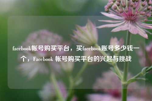 facebook帐号购买平台，买facebook账号多少钱一个，Facebook 帐号购买平台的兴起与挑战