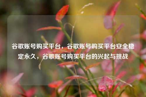 谷歌账号购买平台，谷歌账号购买平台安全稳定永久，谷歌账号购买平台的兴起与挑战