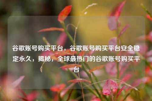 谷歌账号购买平台	，谷歌账号购买平台安全稳定永久，揭秘，全球最热门的谷歌账号购买平台  第1张