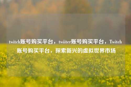 twitch账号购买平台，twiiter账号购买平台，Twitch 账号购买平台，探索新兴的虚拟世界市场