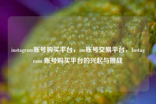 instagram账号购买平台，ins账号交易平台，Instagram 账号购买平台的兴起与挑战
