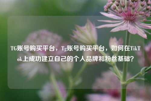 TG账号购买平台，Tg账号购买平台，如何在TikTok上成功建立自己的个人品牌和粉丝基础？