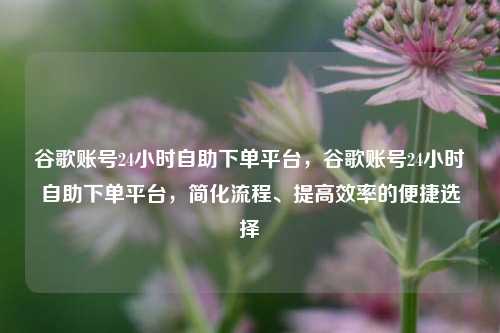 谷歌账号24小时自助下单平台，谷歌账号24小时自助下单平台，简化流程	、提高效率的便捷选择  第1张