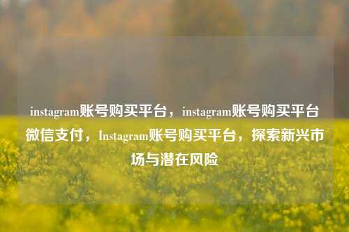 instagram账号购买平台，instagram账号购买平台微信支付，Instagram账号购买平台，探索新兴市场与潜在风险