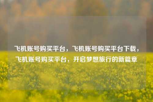 飞机账号购买平台，飞机账号购买平台下载，飞机账号购买平台，开启梦想旅行的新篇章
