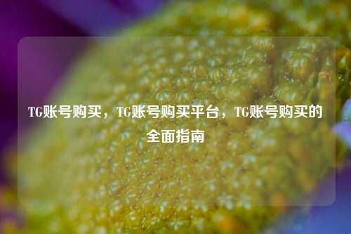 TG账号购买，TG账号购买平台，TG账号购买的全面指南