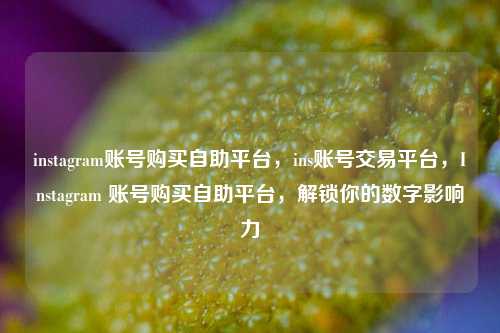 instagram账号购买自助平台，ins账号交易平台，Instagram 账号购买自助平台，解锁你的数字影响力