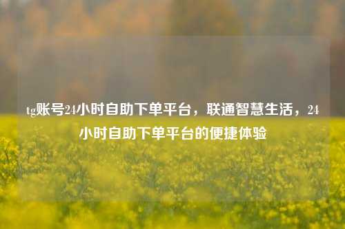 tg账号24小时自助下单平台，联通智慧生活，24小时自助下单平台的便捷体验