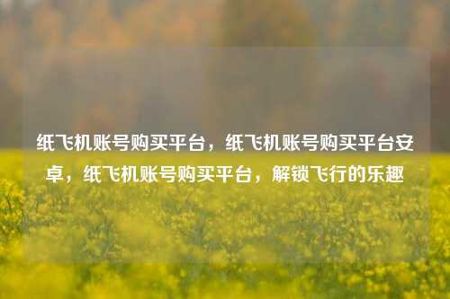 纸飞机账号购买平台，纸飞机账号购买平台安卓，纸飞机账号购买平台，解锁飞行的乐趣