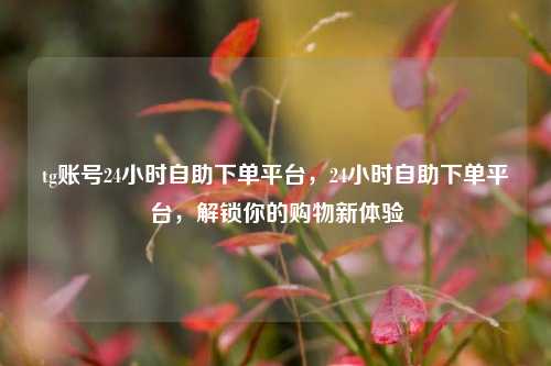 tg账号24小时自助下单平台，24小时自助下单平台，解锁你的购物新体验  第1张
