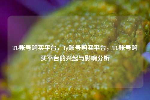 TG账号购买平台，Tg账号购买平台，TG账号购买平台的兴起与影响分析