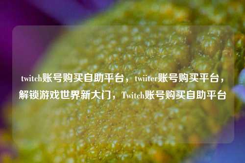 twitch账号购买自助平台，twiiter账号购买平台，解锁游戏世界新大门，Twitch账号购买自助平台
