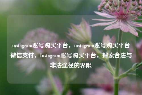 instagram账号购买平台，instagram账号购买平台微信支付，Instagram账号购买平台，探索合法与非法途径的界限