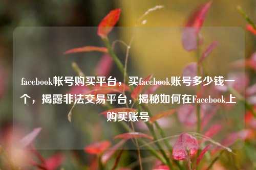 facebook帐号购买平台，买facebook账号多少钱一个，揭露非法交易平台，揭秘如何在Facebook上购买账号