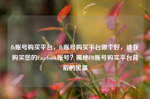 fb账号购买平台，fb账号购买平台哪个好，谁在购买您的Facebook账号？揭秘FB账号购买平台背后的黑幕