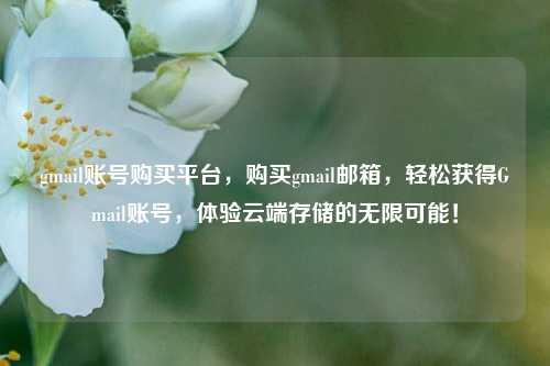 gmail账号购买平台，购买gmail邮箱，轻松获得Gmail账号，体验云端存储的无限可能！