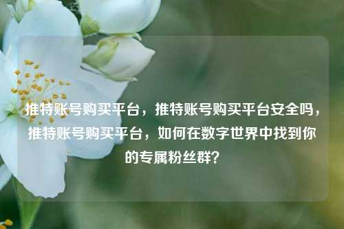 推特账号购买平台，推特账号购买平台安全吗，推特账号购买平台，如何在数字世界中找到你的专属粉丝群？