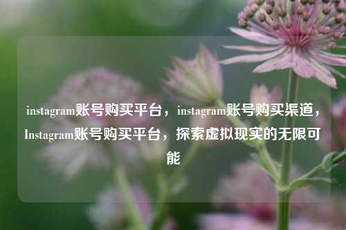 instagram账号购买平台，instagram账号购买渠道，Instagram账号购买平台，探索虚拟现实的无限可能