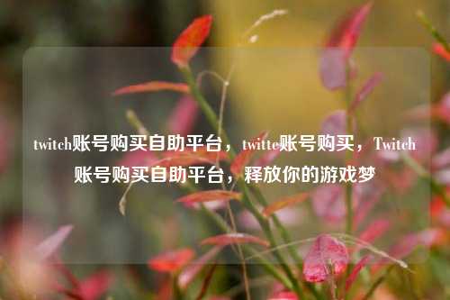 twitch账号购买自助平台，twitte账号购买，Twitch账号购买自助平台，释放你的游戏梦