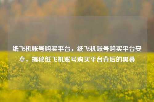 纸飞机账号购买平台，纸飞机账号购买平台安卓，揭秘纸飞机账号购买平台背后的黑幕