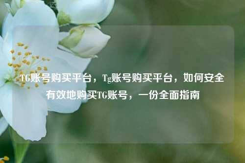 TG账号购买平台，Tg账号购买平台，如何安全有效地购买TG账号，一份全面指南
