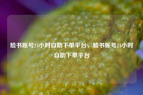 脸书账号24小时自助下单平台	，脸书账号24小时自助下单平台  第1张