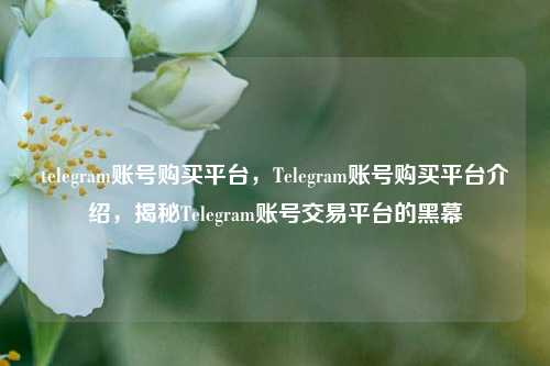 telegram账号购买平台，Telegram账号购买平台介绍	，揭秘Telegram账号交易平台的黑幕  第1张